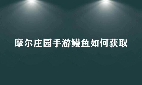 摩尔庄园手游鳗鱼如何获取
