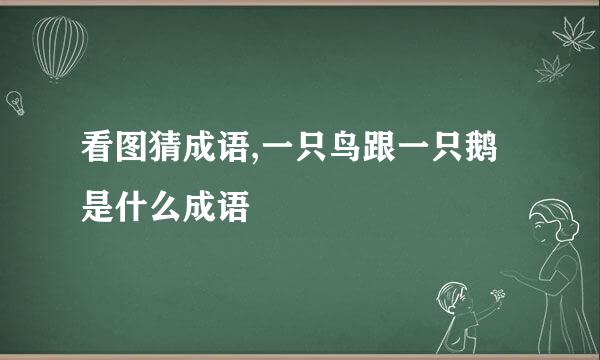 看图猜成语,一只鸟跟一只鹅是什么成语