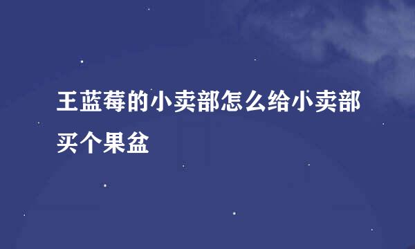 王蓝莓的小卖部怎么给小卖部买个果盆