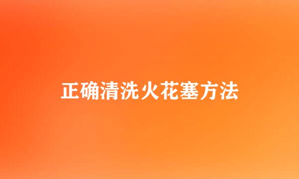 正确清洗火花塞方法