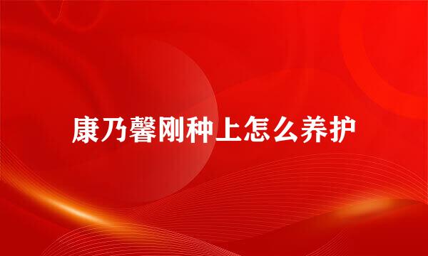康乃馨刚种上怎么养护