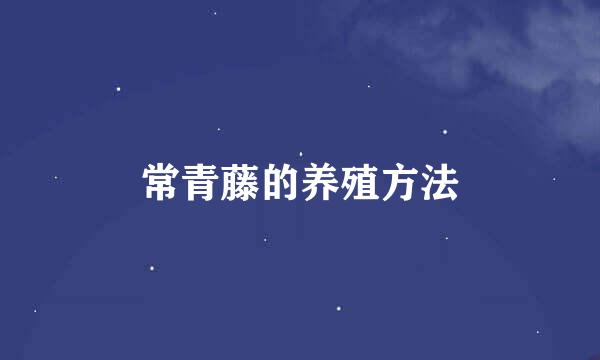 常青藤的养殖方法