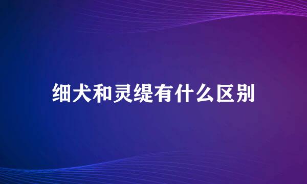 细犬和灵缇有什么区别