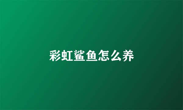 彩虹鲨鱼怎么养