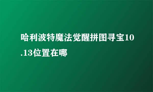哈利波特魔法觉醒拼图寻宝10.13位置在哪