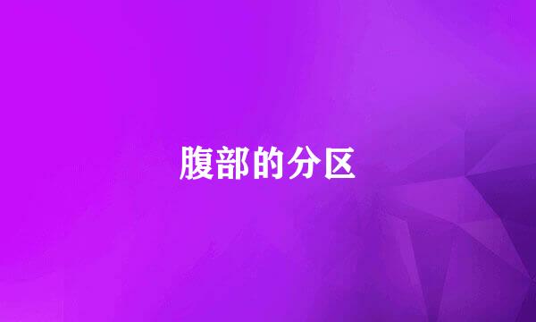 腹部的分区