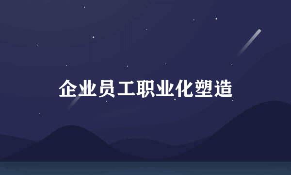 企业员工职业化塑造