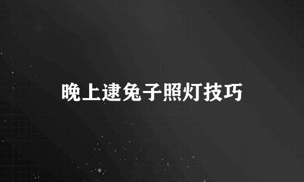 晚上逮兔子照灯技巧