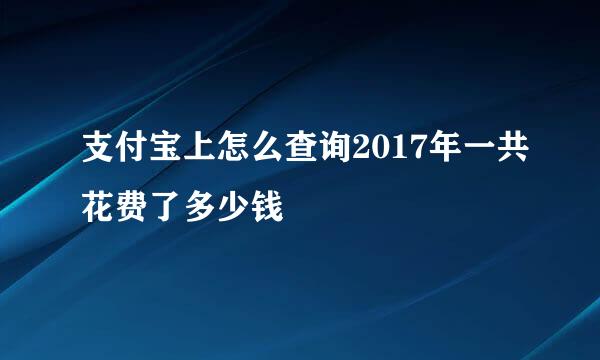 支付宝上怎么查询2017年一共花费了多少钱