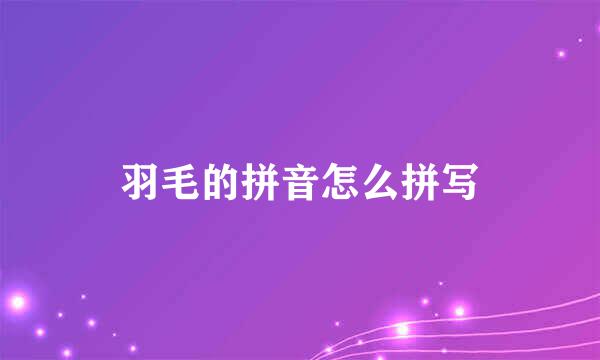 羽毛的拼音怎么拼写