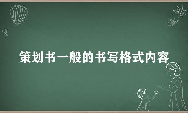策划书一般的书写格式内容