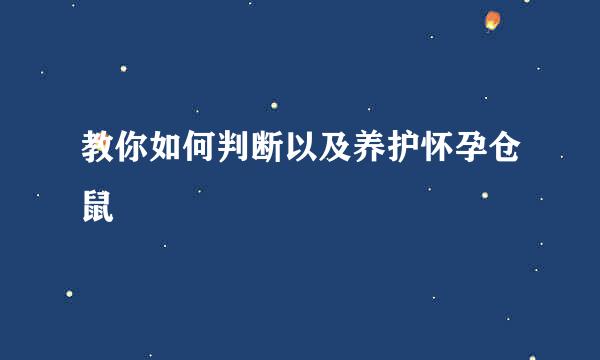 教你如何判断以及养护怀孕仓鼠