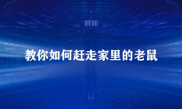 教你如何赶走家里的老鼠
