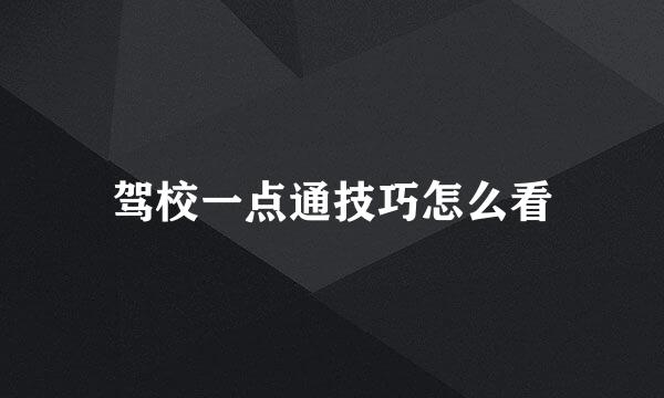 驾校一点通技巧怎么看