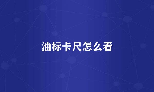 油标卡尺怎么看