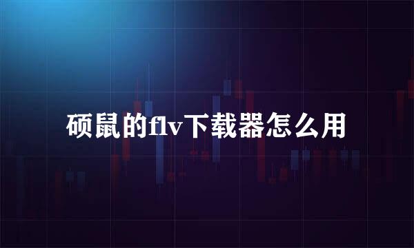 硕鼠的flv下载器怎么用