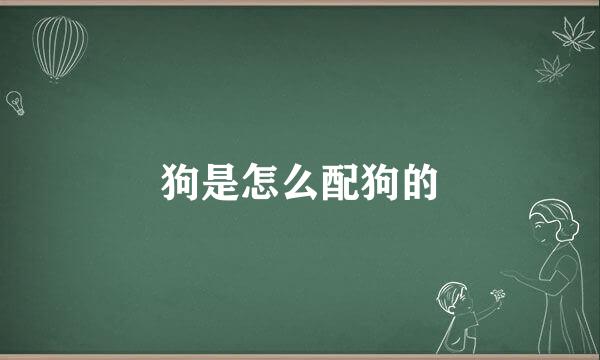 狗是怎么配狗的