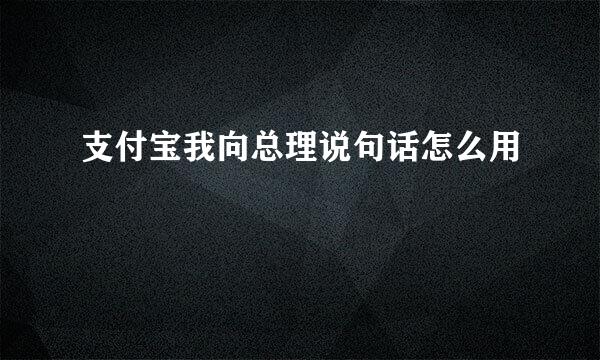 支付宝我向总理说句话怎么用