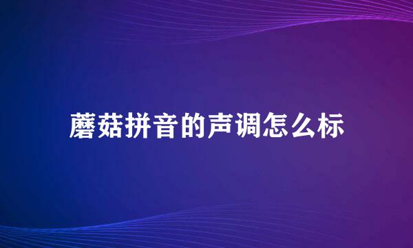 蘑菇拼音的声调怎么标