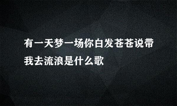 有一天梦一场你白发苍苍说带我去流浪是什么歌