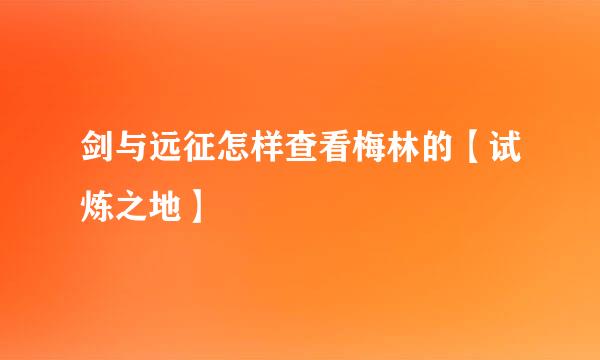 剑与远征怎样查看梅林的【试炼之地】