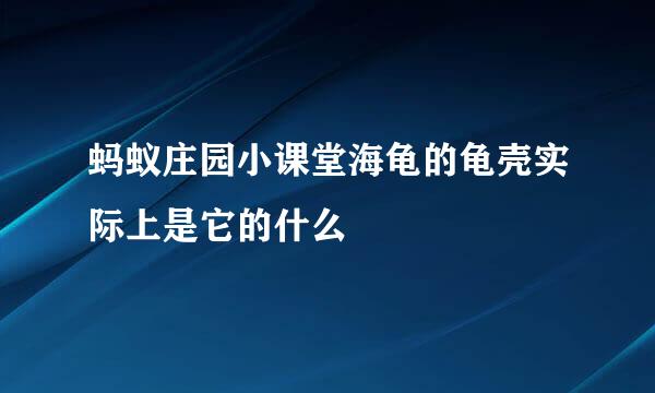蚂蚁庄园小课堂海龟的龟壳实际上是它的什么