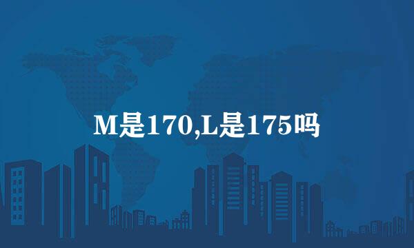 M是170,L是175吗