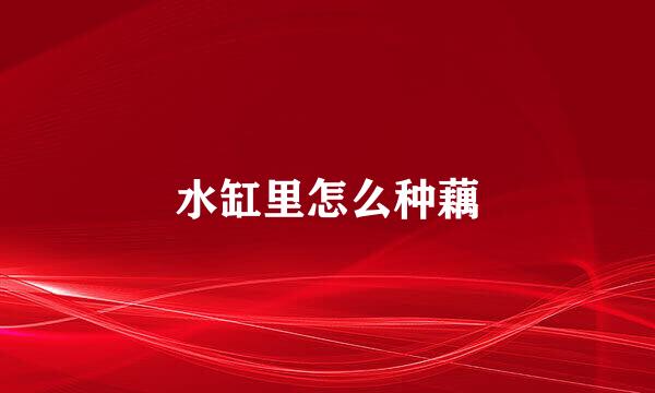 水缸里怎么种藕