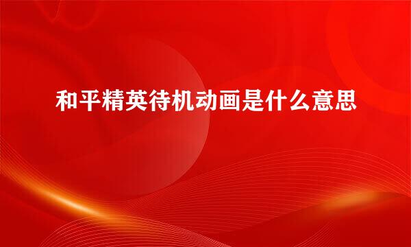 和平精英待机动画是什么意思