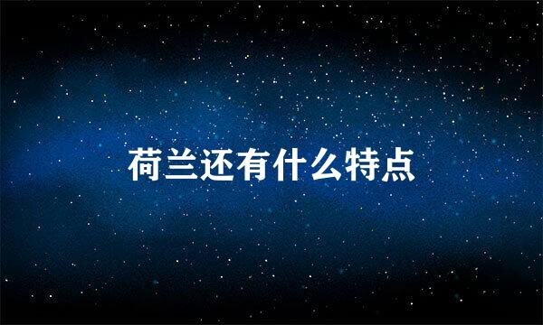 荷兰还有什么特点