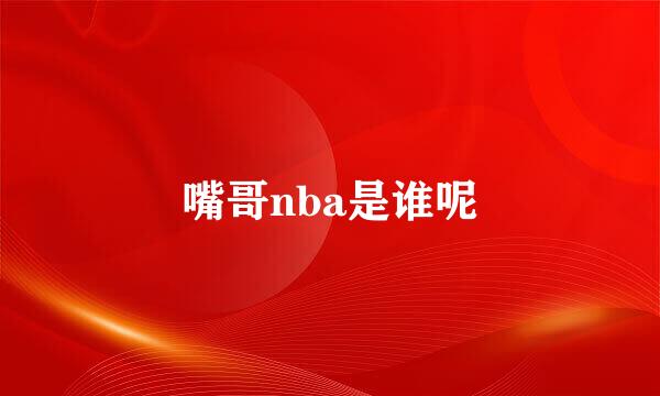 嘴哥nba是谁呢