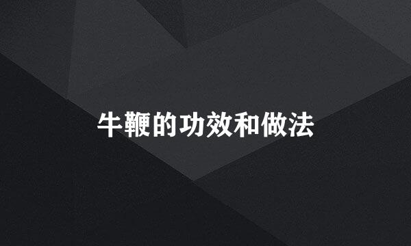 牛鞭的功效和做法