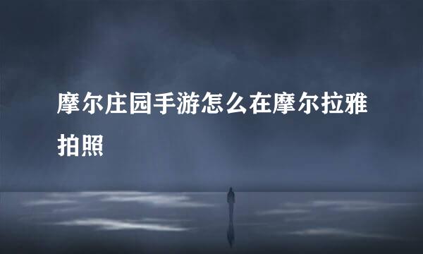 摩尔庄园手游怎么在摩尔拉雅拍照