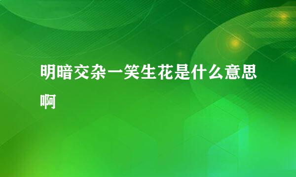 明暗交杂一笑生花是什么意思啊