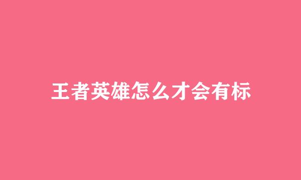 王者英雄怎么才会有标