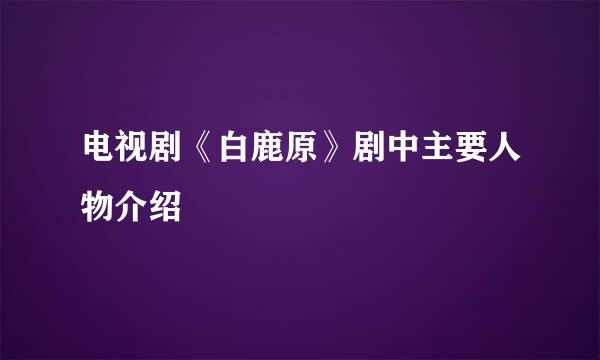 电视剧《白鹿原》剧中主要人物介绍