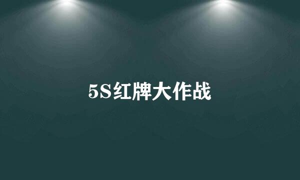 5S红牌大作战