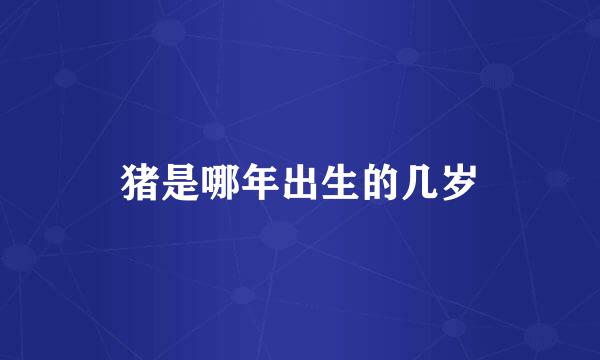 猪是哪年出生的几岁