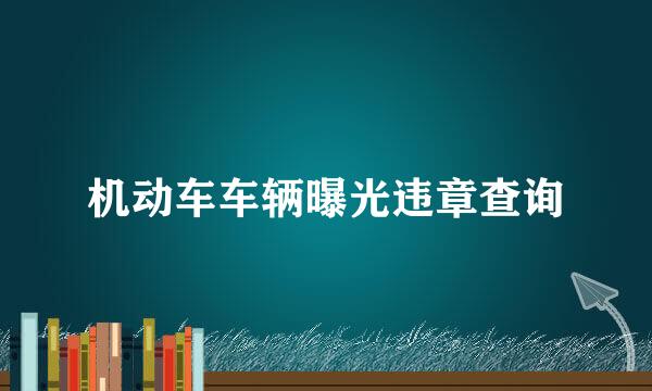 机动车车辆曝光违章查询