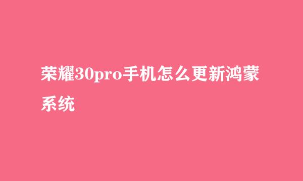 荣耀30pro手机怎么更新鸿蒙系统