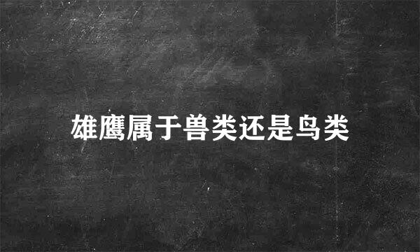 雄鹰属于兽类还是鸟类