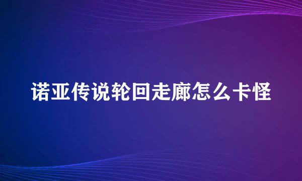 诺亚传说轮回走廊怎么卡怪
