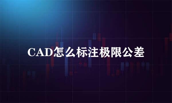 CAD怎么标注极限公差