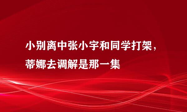 小别离中张小宇和同学打架，蒂娜去调解是那一集