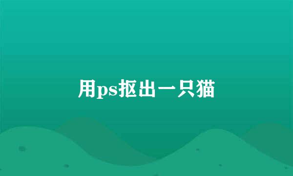 用ps抠出一只猫