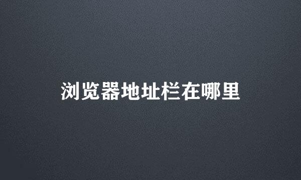 浏览器地址栏在哪里