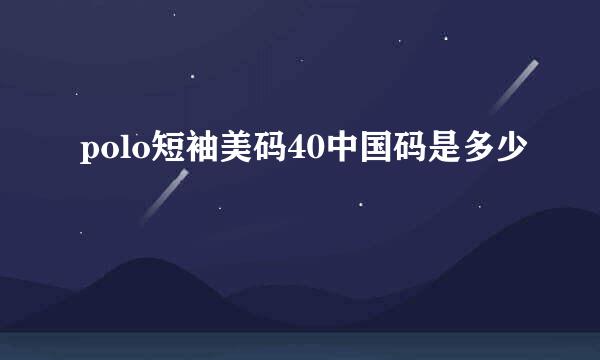 polo短袖美码40中国码是多少