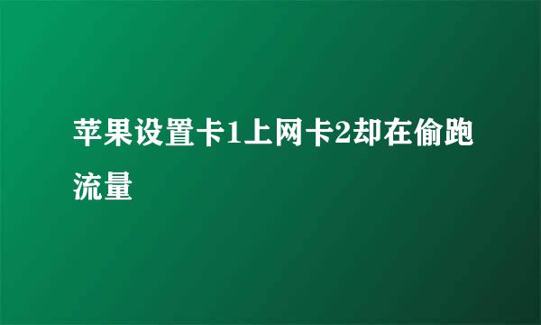 苹果设置卡1上网卡2却在偷跑流量