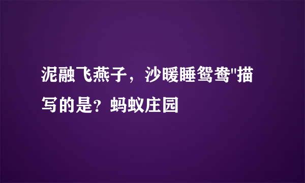 泥融飞燕子，沙暖睡鸳鸯