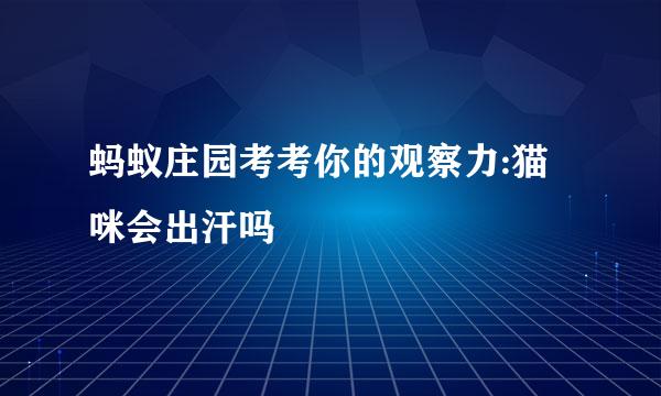 蚂蚁庄园考考你的观察力:猫咪会出汗吗